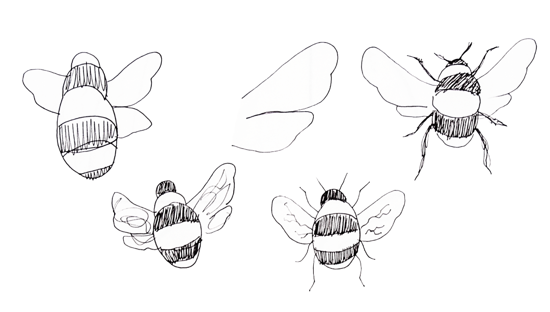 Sketches of bees