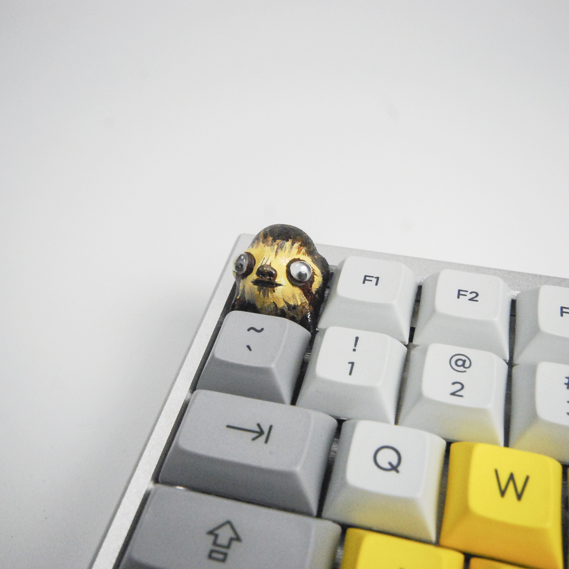 Sloth cap on keyboard