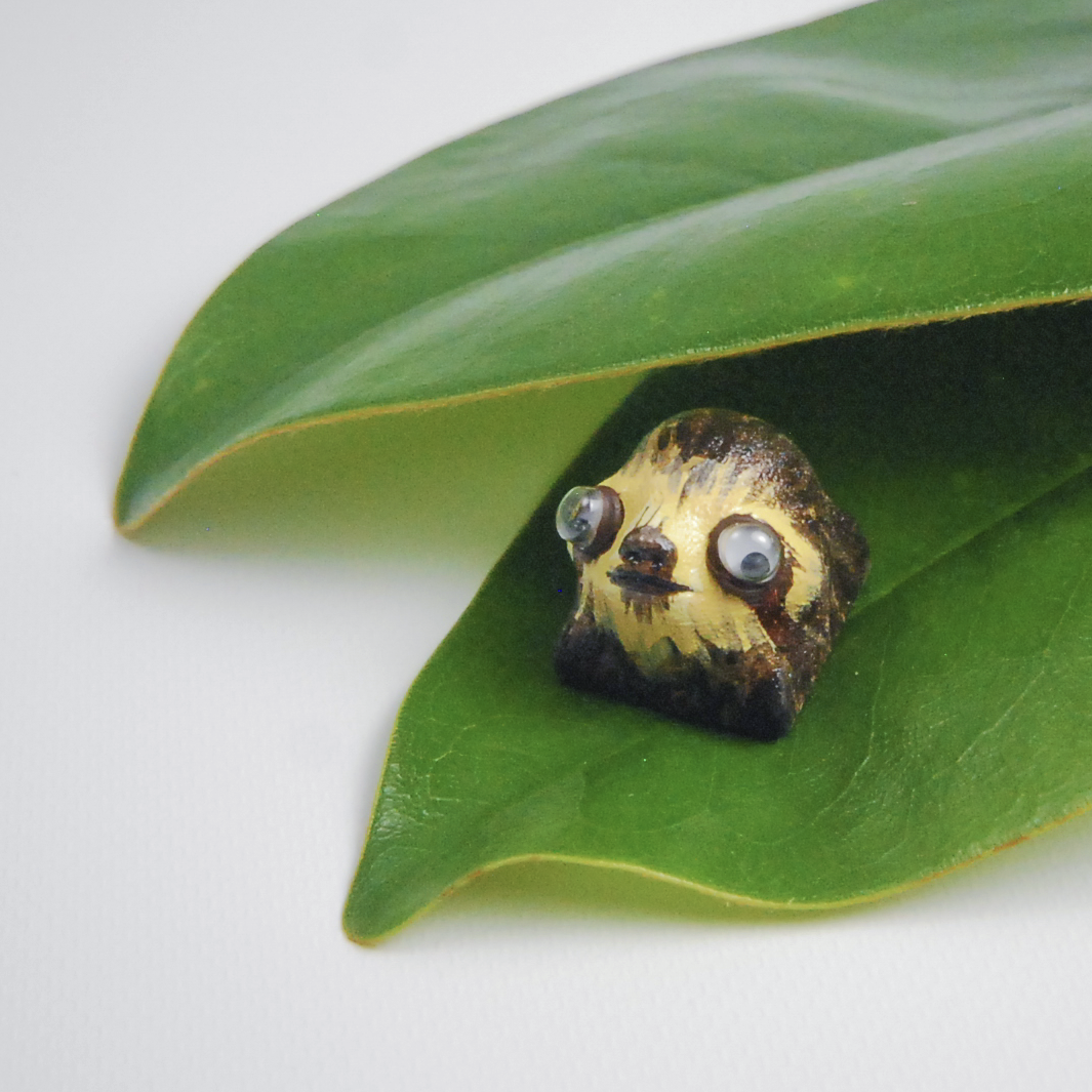 Sloth cap on leaf