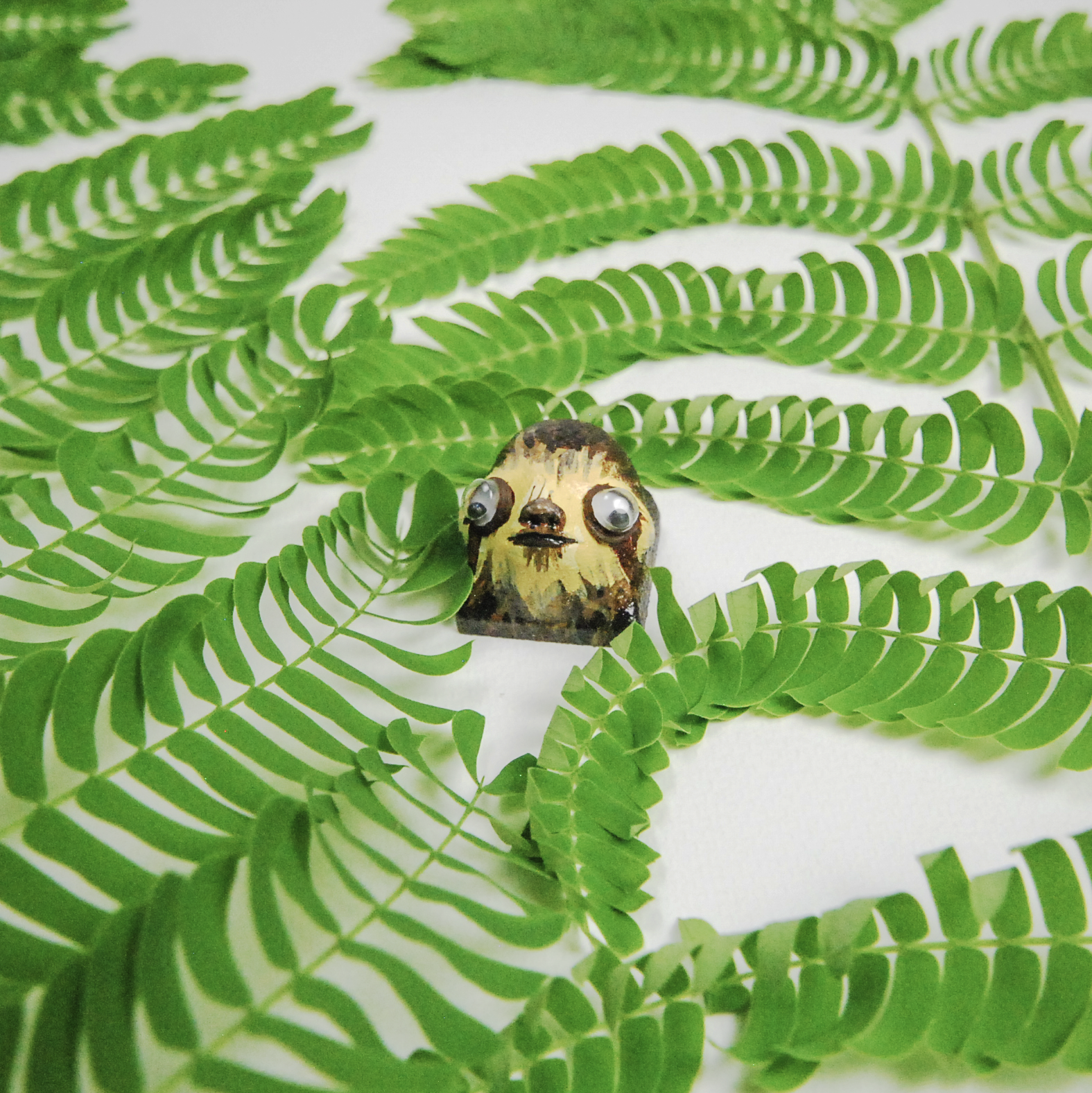 Sloth cap in leaves